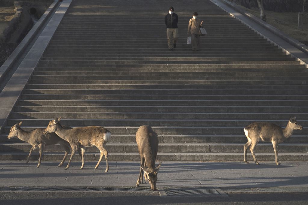 I suoni del silenzio